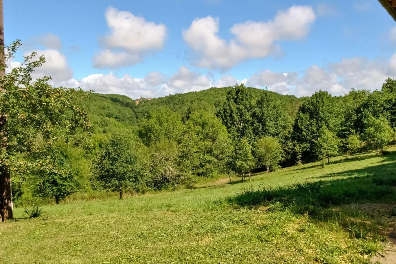 Willa Ancienne Sechoir A Tabac Idealement Place A Limeuil Pour 4 Dans La Nature Zewnętrze zdjęcie